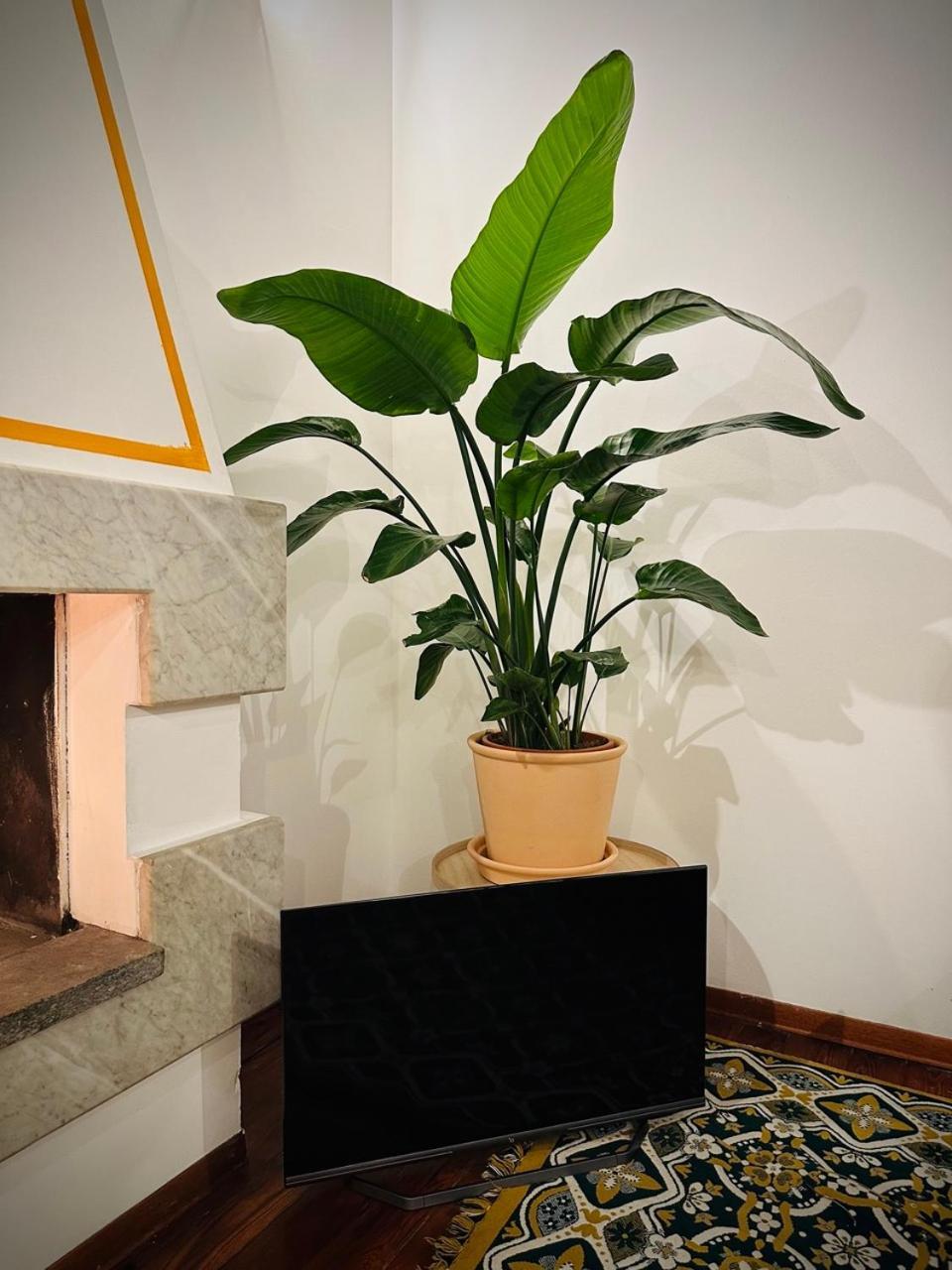 דירות Wow House In Torino מראה חיצוני תמונה